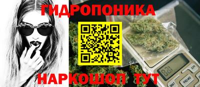 индика Пыть-Ях