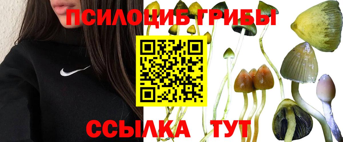 Галлюциногенные грибы Psilocybe  Вход с VPN  Серпухов 